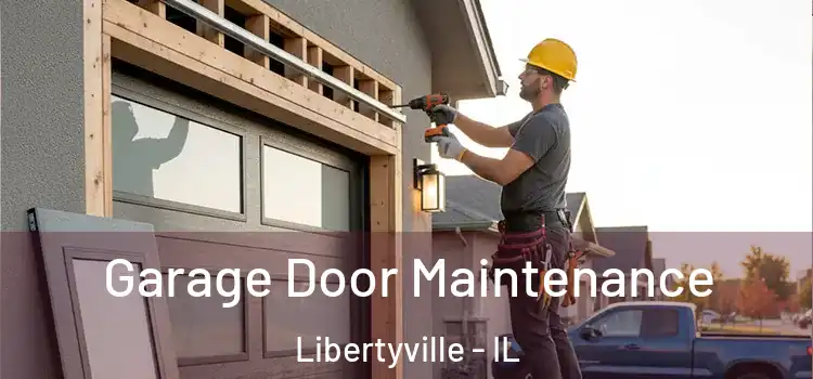 Garage Door Maintenance Libertyville - IL