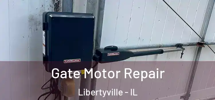 Gate Motor Repair Libertyville - IL