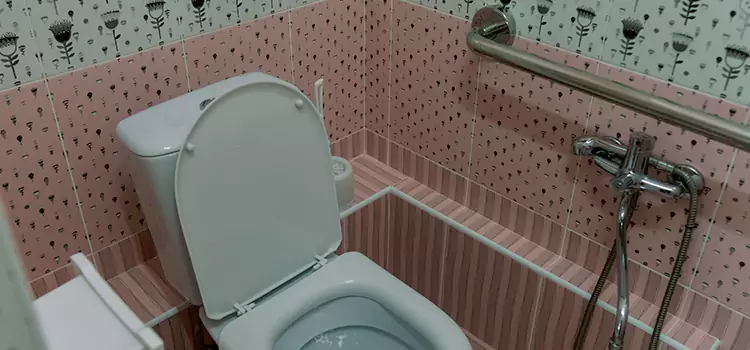 Meeting Diverse Needs With Accessible Restroom Solutions in Libertyville, IL