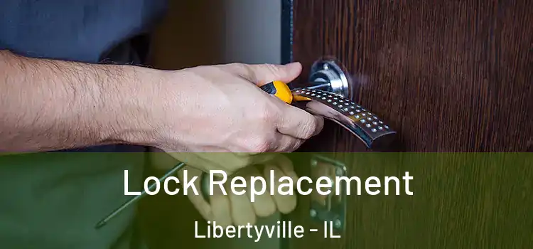 Lock Replacement Libertyville - IL