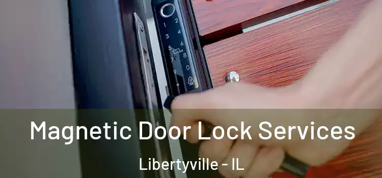 Magnetic Door Lock Services Libertyville - IL